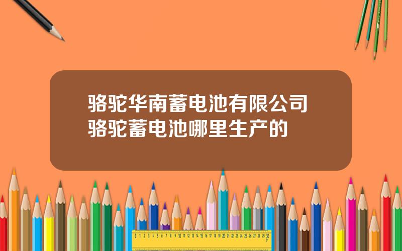 骆驼华南蓄电池有限公司 骆驼蓄电池哪里生产的